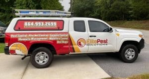 elite pest solutions pest control specialists