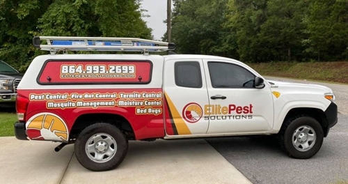elite pest solutions replacing our competitors